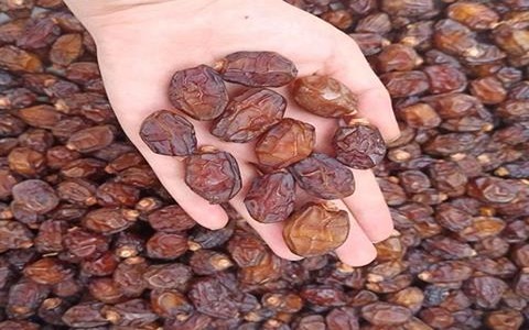 تصویر 2 از خرید و قیمت خرما پیارم درجه یک + فروش صادراتی